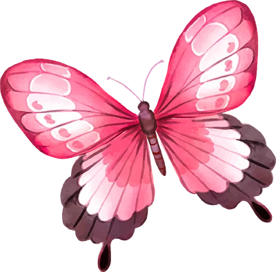 pink butterfly
