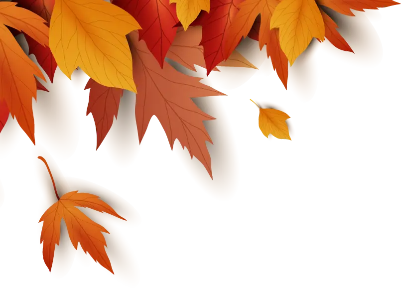 leaf background