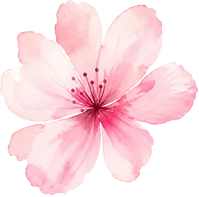 one pink flower