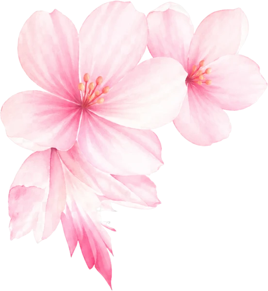pink flowers background