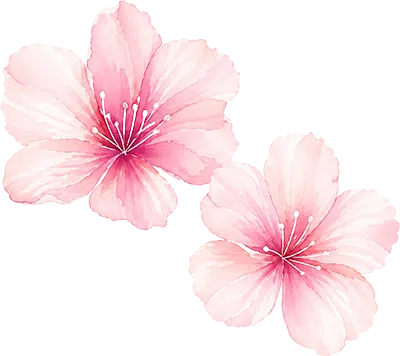 two pink flowers